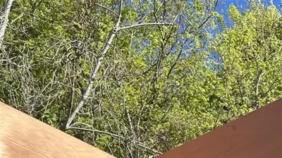 Carpentry & Decks Photo