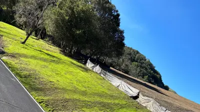 Excavation and Grading Photo