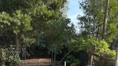 Foundation Construction Photo